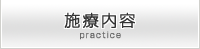 施療内容